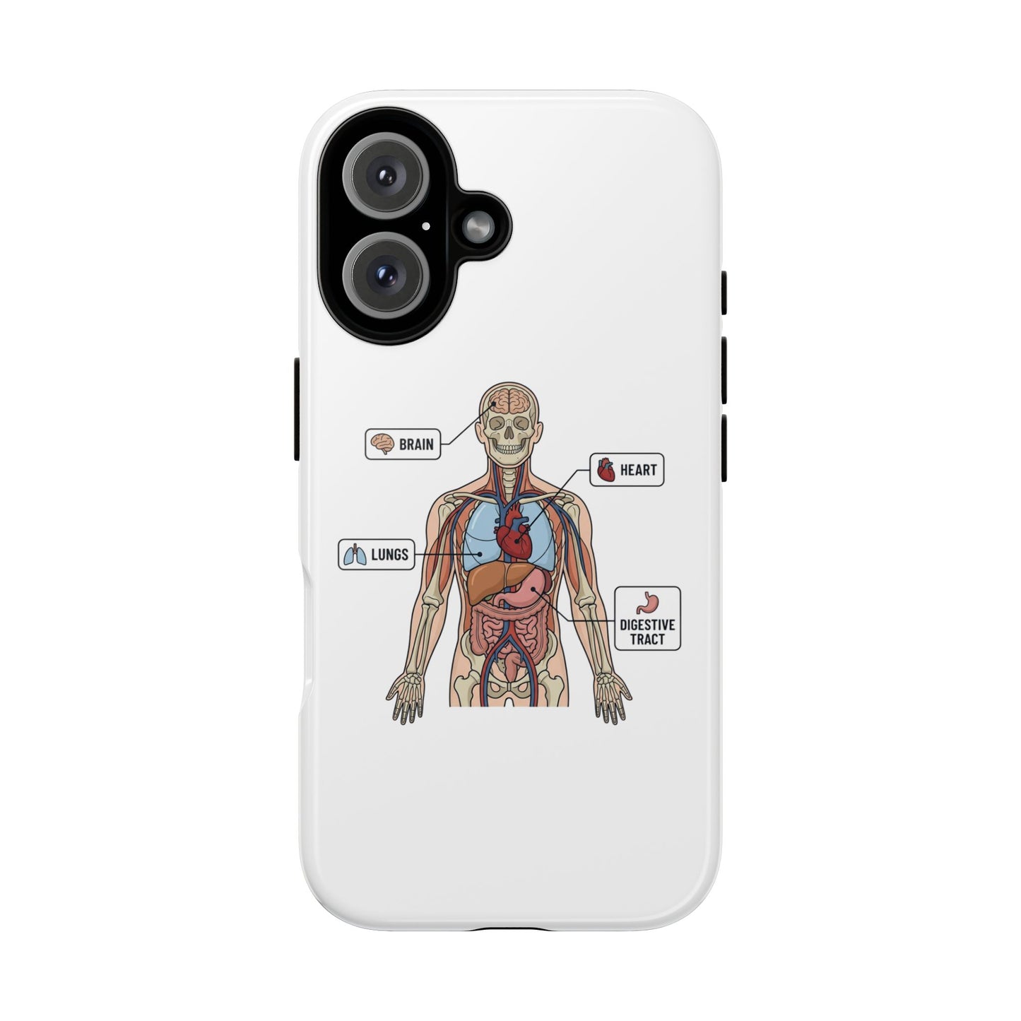 Anatomy Case — Medical Student Human Anatomy Study Aid