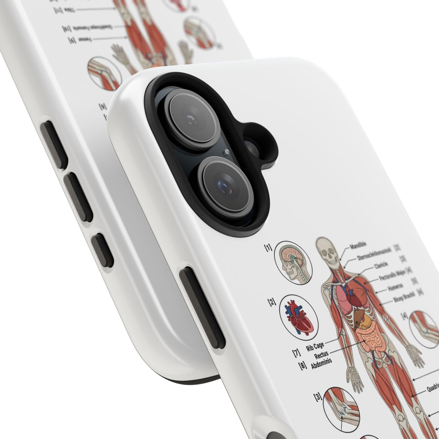 Anatomy Study Phone Case — Human Anatomy Diagram for Medical Students