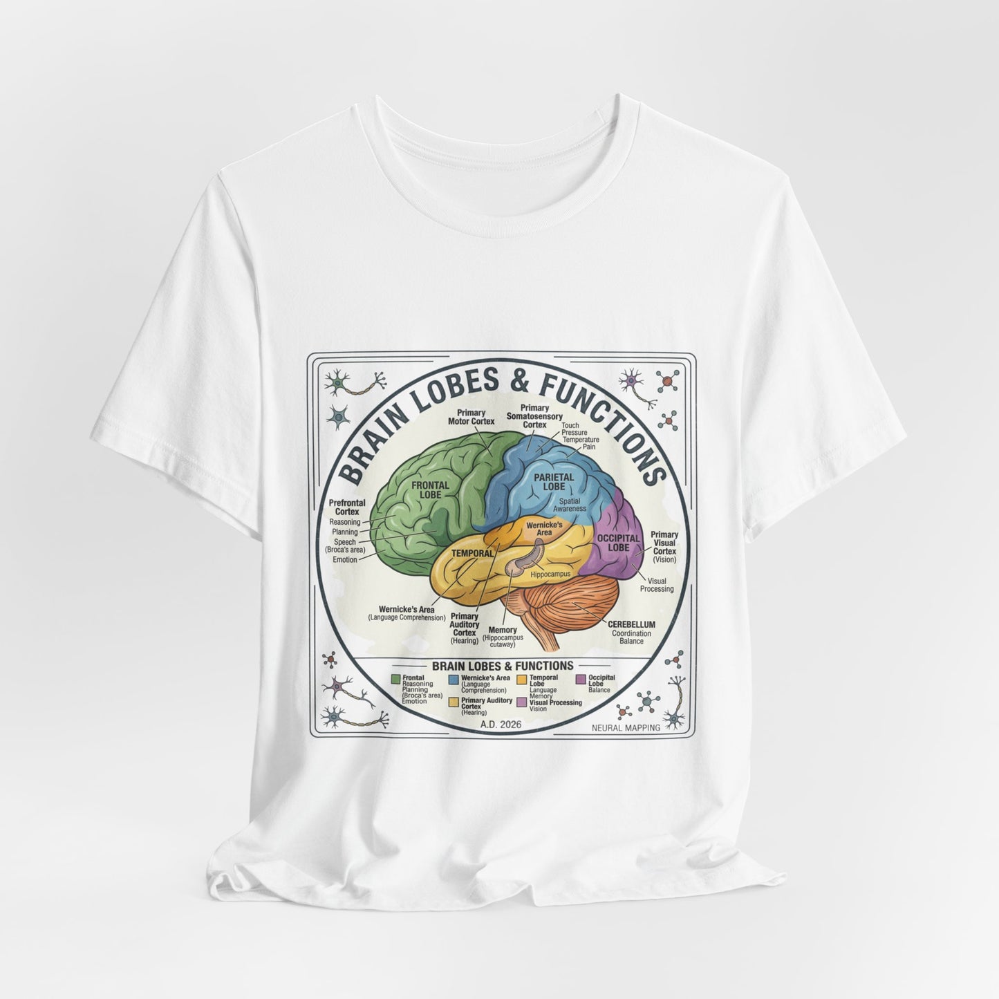 Brain Lobes & Functions T-Shirt | 250th Fourth of July, Patriotic Milestone
