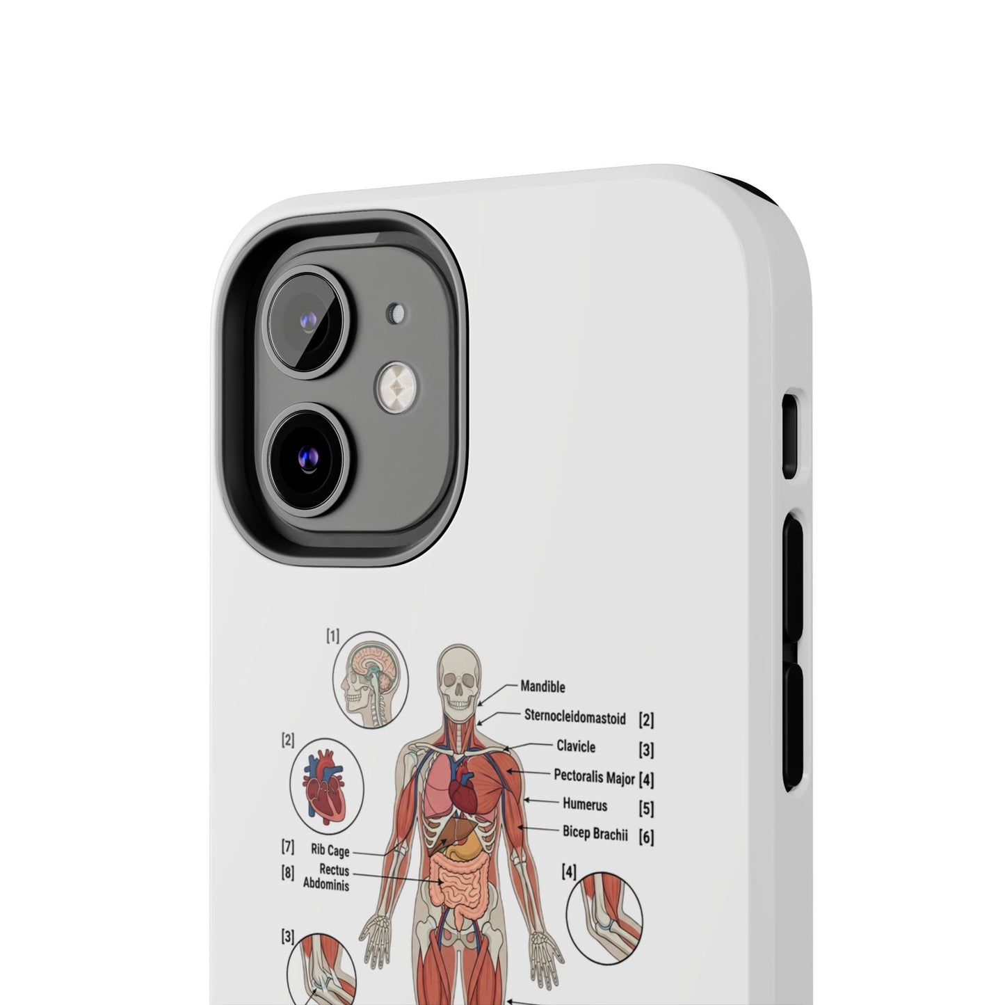 Anatomy Study Phone Case — Human Anatomy Diagram for Medical Students