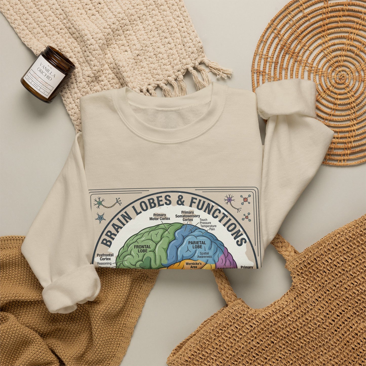 Brain Lobes Diagram Sweatshirt | 250th 4th of July Patriotic Milestone