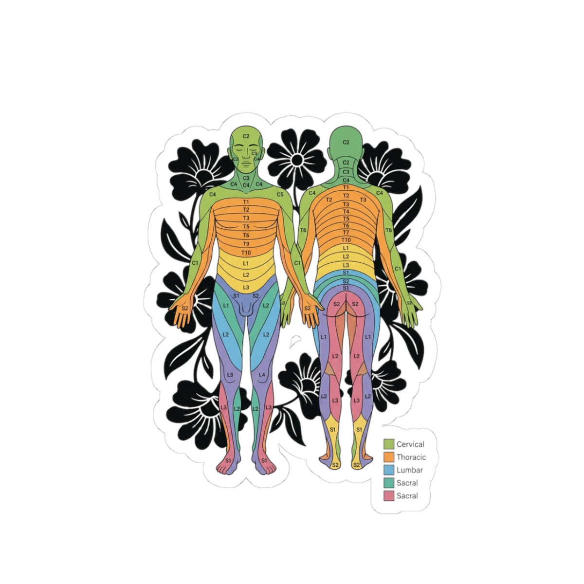 Chakra Anatomy Diagram Sticker | People Over Profit, Values-Led