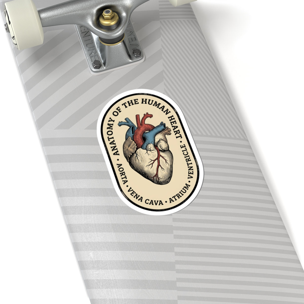 Anatomical Heart Sticker | Retro Medical Illustration, Easy Tiger vintage vacation vibe