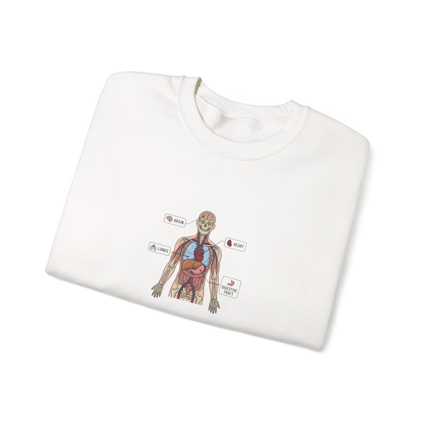 Anatomy Study Crewneck Sweatshirt — Human Anatomy Diagram for Medical Students