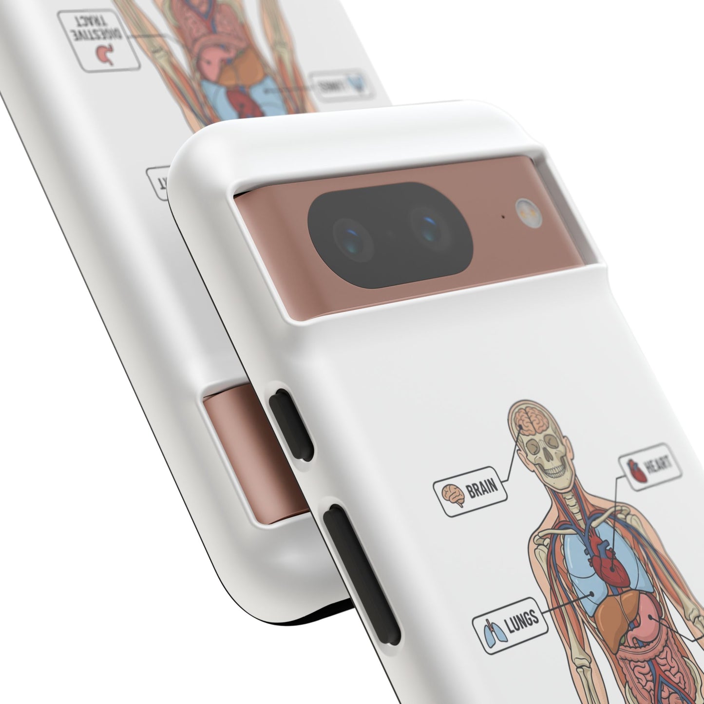Anatomy Case — Medical Student Human Anatomy Study Aid