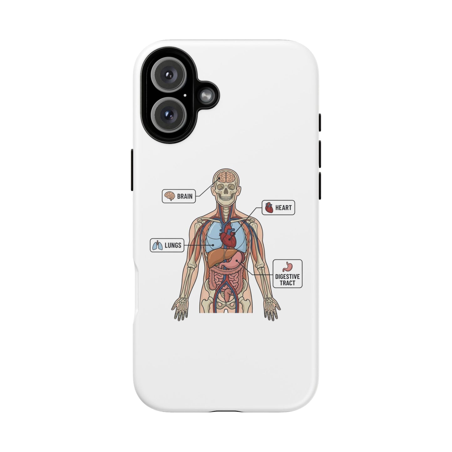 Anatomy Case — Medical Student Human Anatomy Study Aid