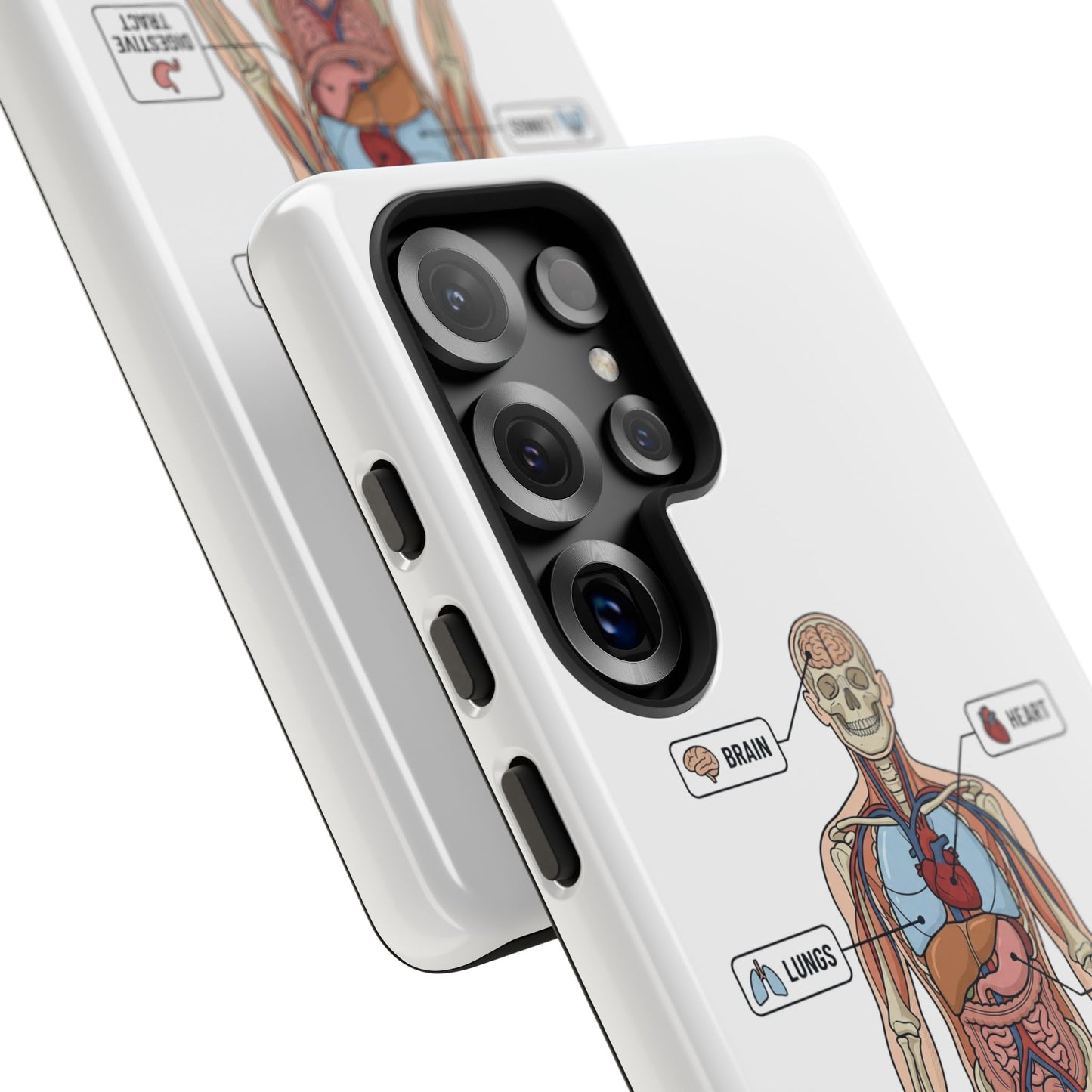 Anatomy Case — Medical Student Human Anatomy Study Aid