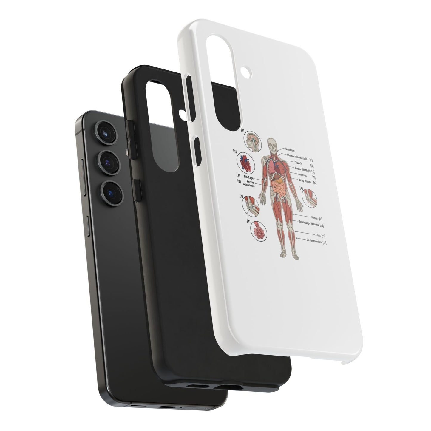 Anatomy Study Phone Case — Human Anatomy Diagram for Medical Students