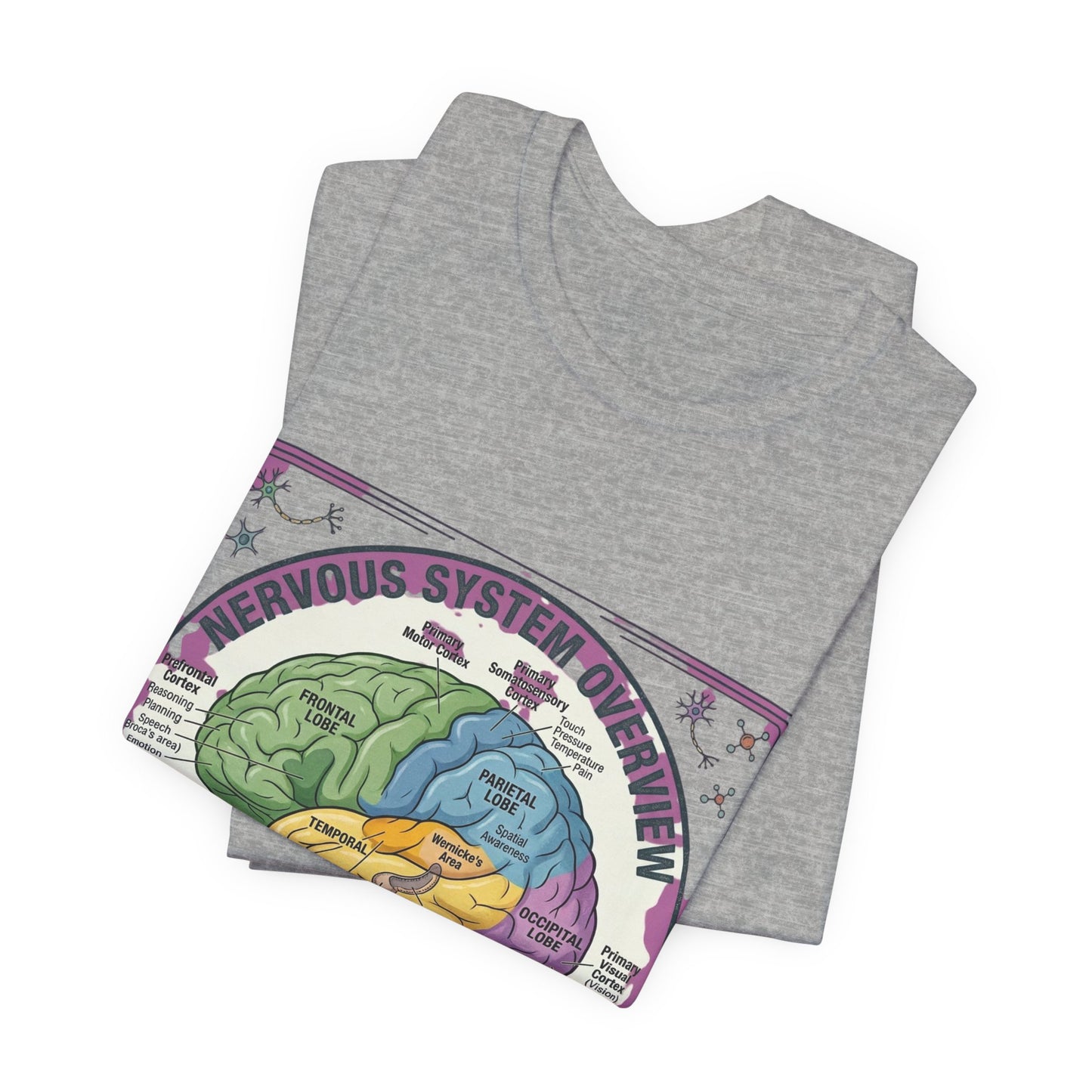 Brain Anatomy Diagram Tee | 250th Independence Day, Patriotic Milestone