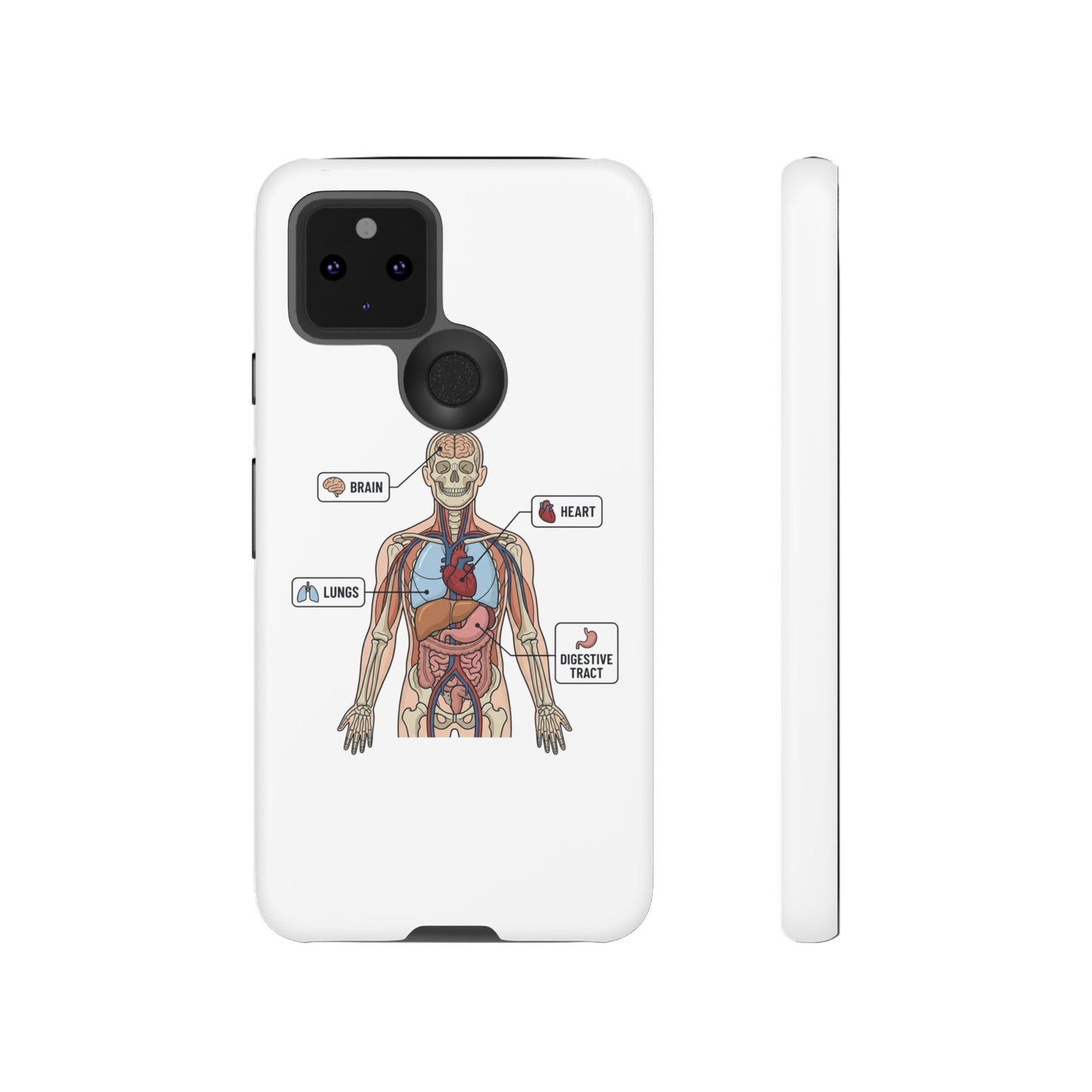 Anatomy Case — Medical Student Human Anatomy Study Aid