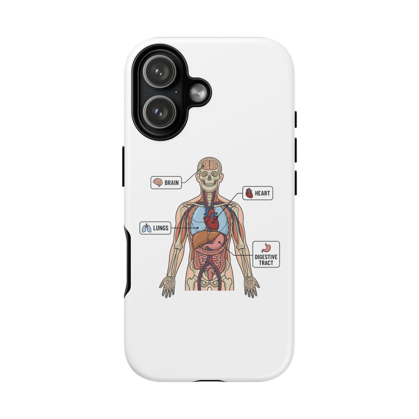 Anatomy Case — Medical Student Human Anatomy Study Aid