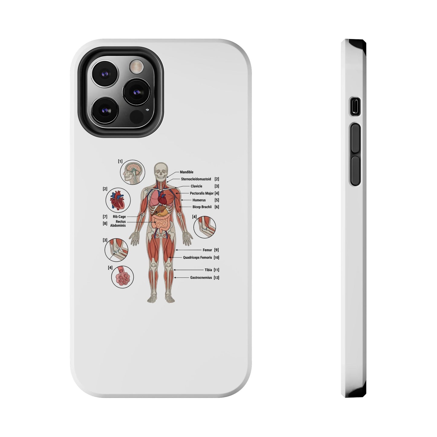 Anatomy Study Phone Case — Human Anatomy Diagram for Medical Students