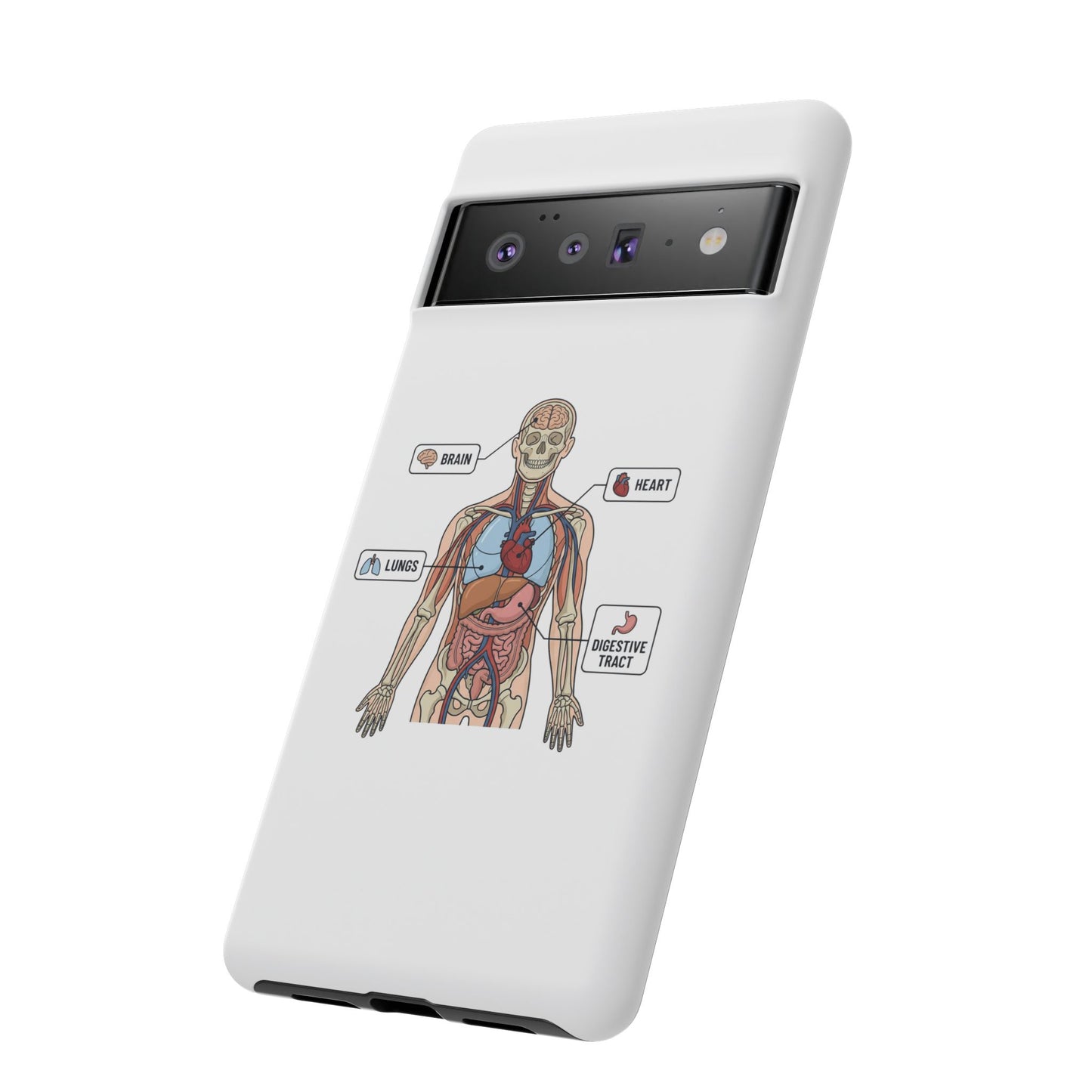 Anatomy Case — Medical Student Human Anatomy Study Aid