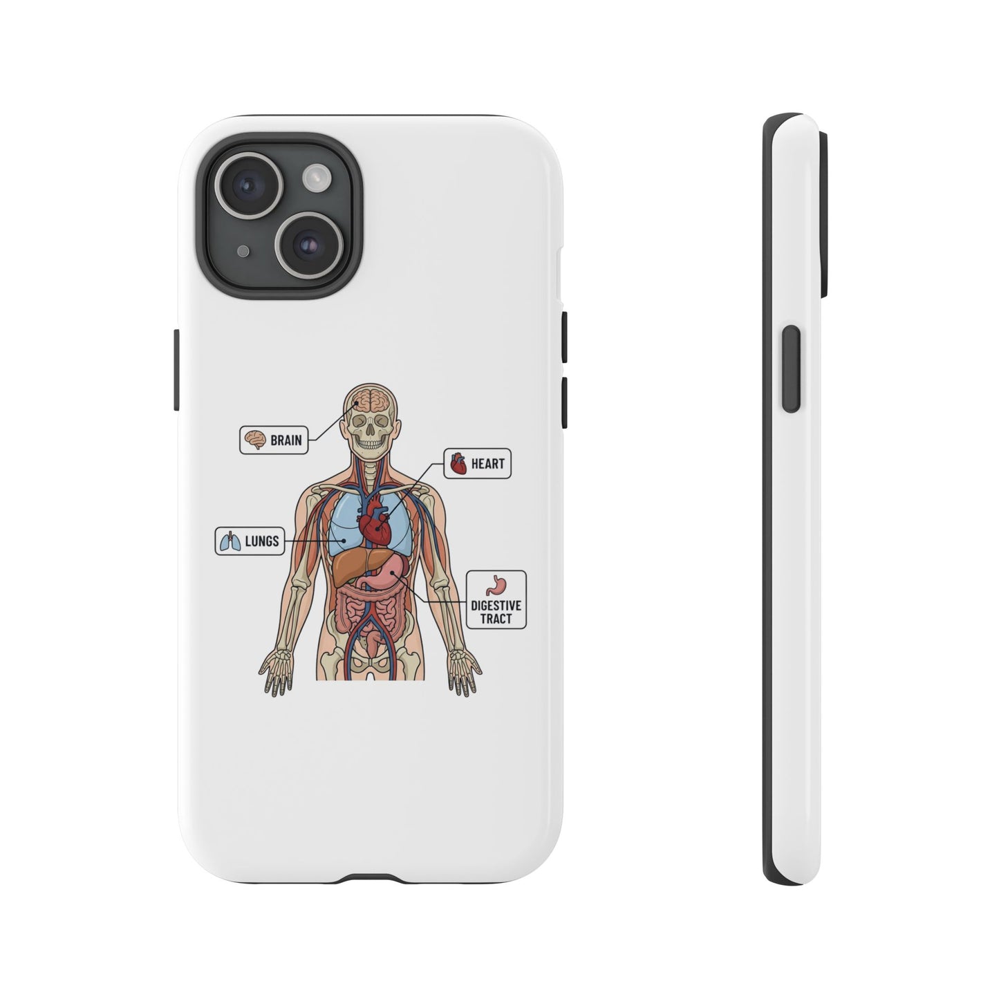Anatomy Case — Medical Student Human Anatomy Study Aid
