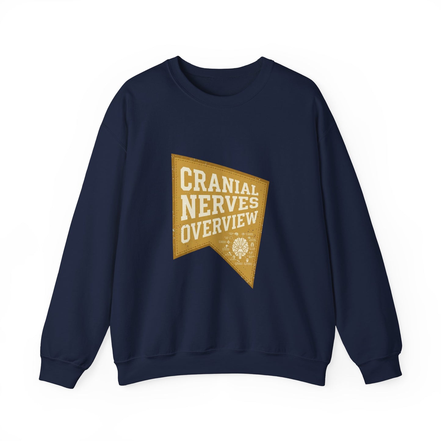 Cranial Nerves Overview Sweatshirt | Retro Anatomy, Easy Tiger Vibe