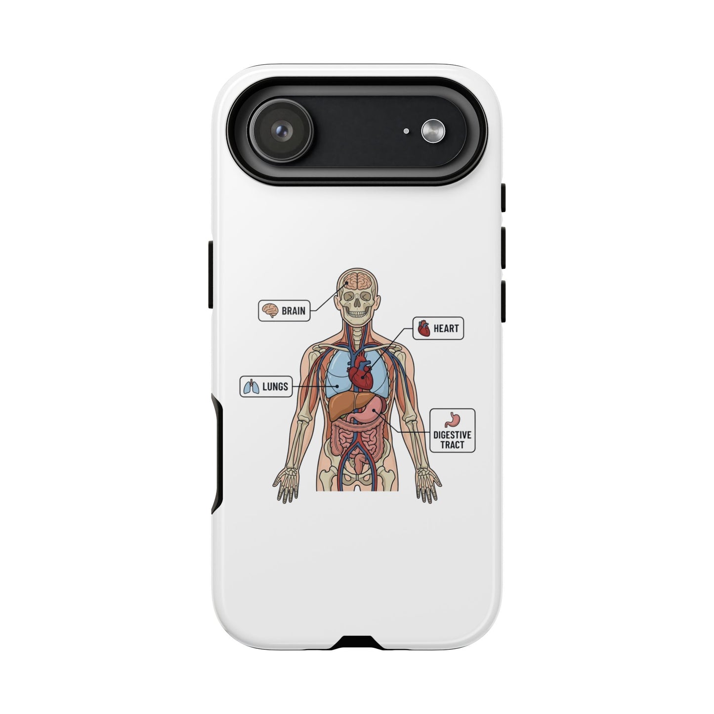 Anatomy Case — Medical Student Human Anatomy Study Aid