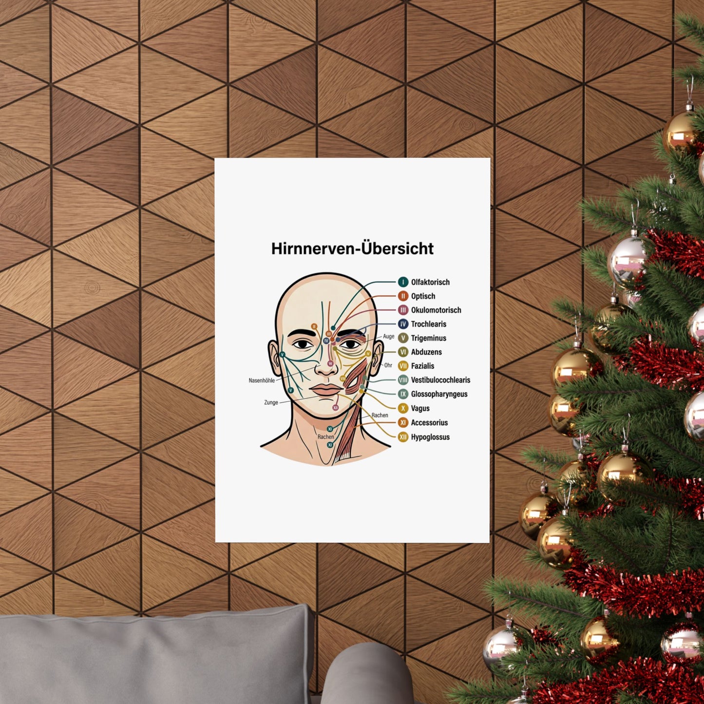 Anatomy Poster — Hirnnerven-Übersicht Matte Vertical Poster
