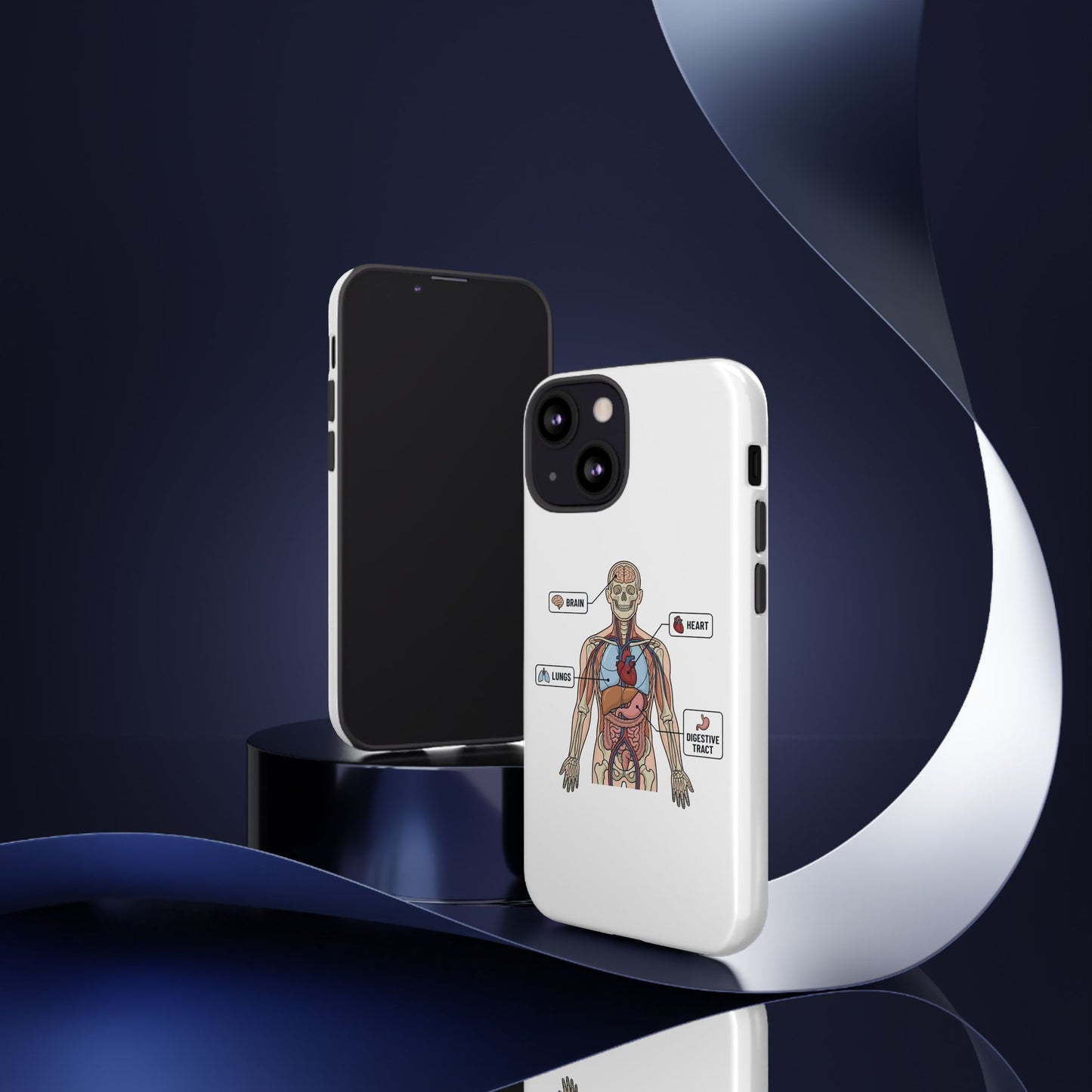 Anatomy Case — Medical Student Human Anatomy Study Aid
