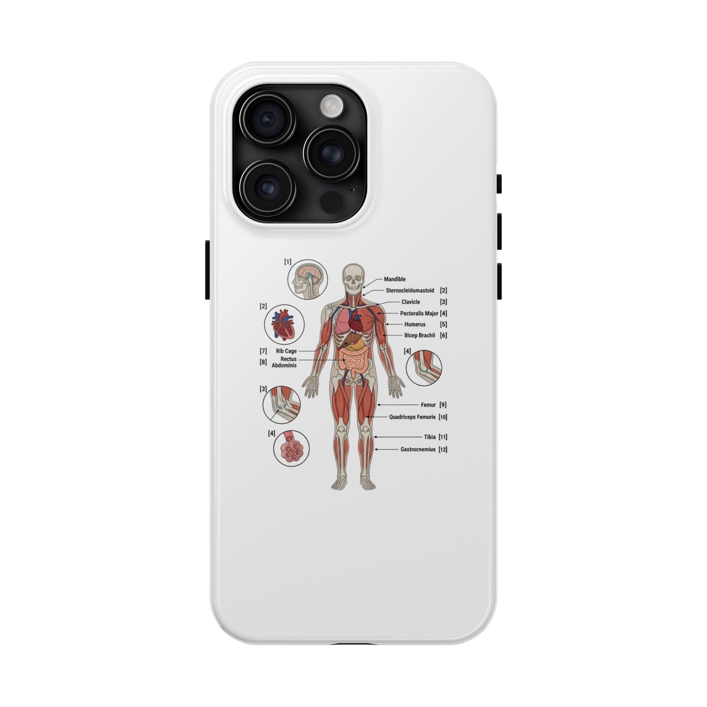 Anatomy Study Phone Case — Human Anatomy Diagram for Medical Students