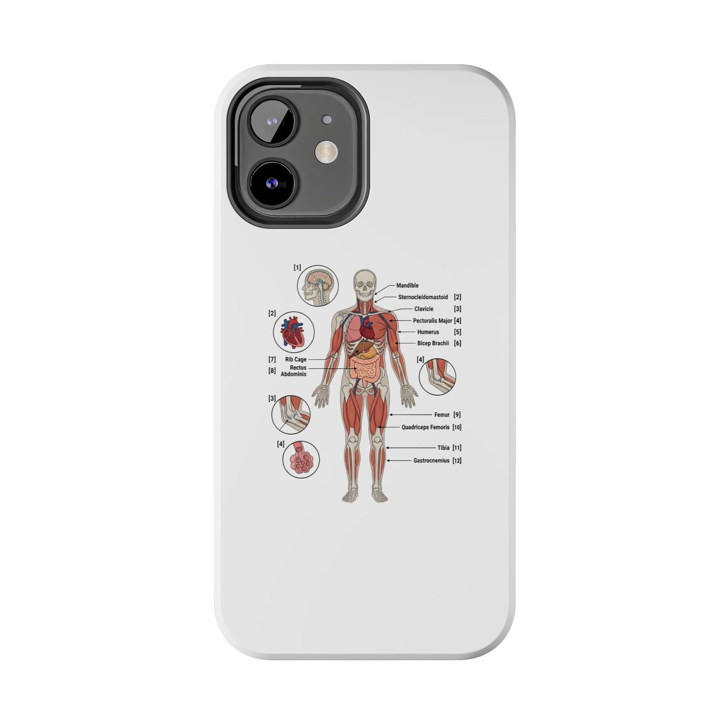Anatomy Study Phone Case — Human Anatomy Diagram for Medical Students