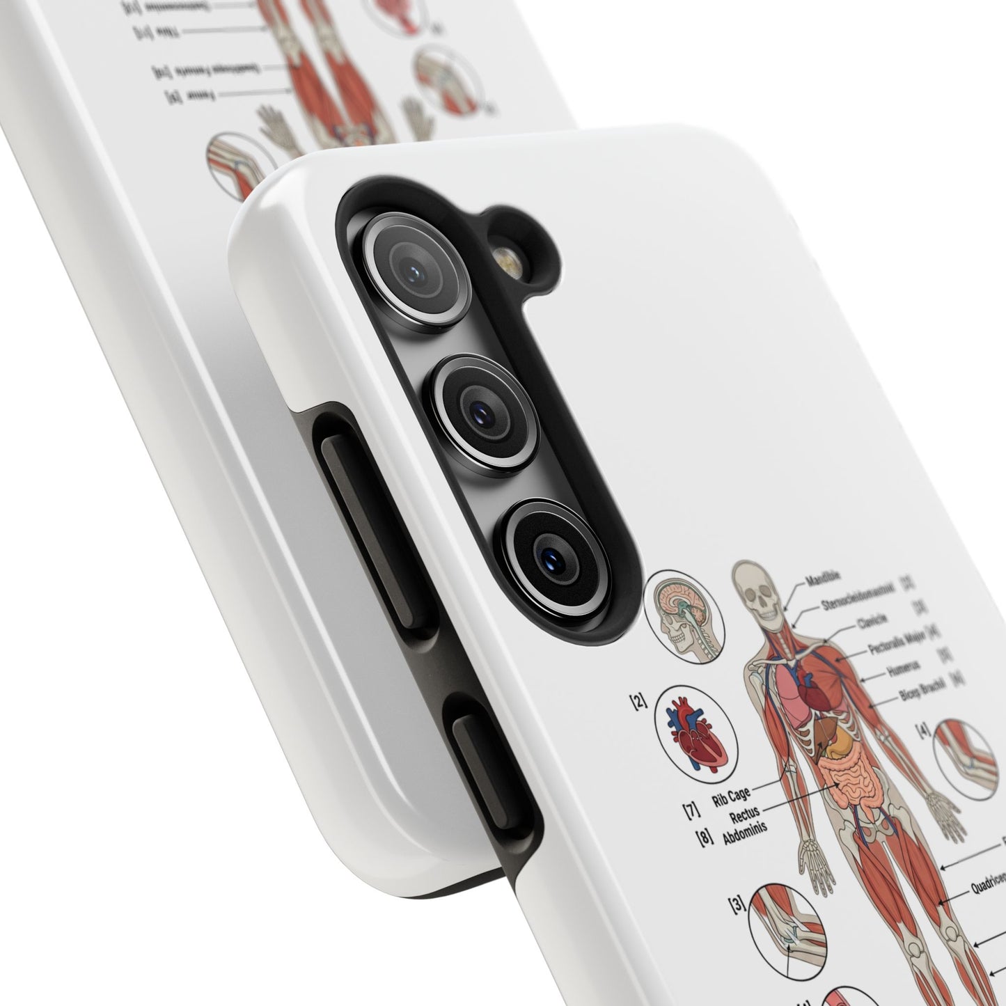 Anatomy Study Phone Case — Human Anatomy Diagram for Medical Students