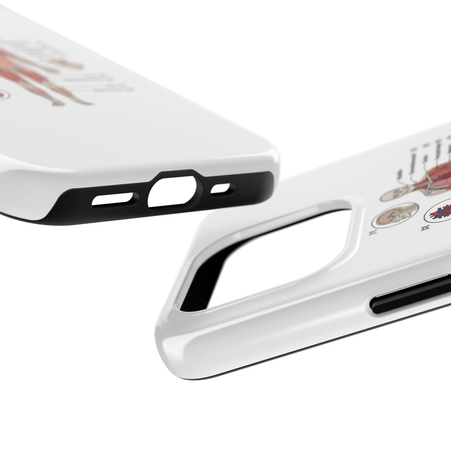 Anatomy Study Phone Case — Human Anatomy Diagram for Medical Students