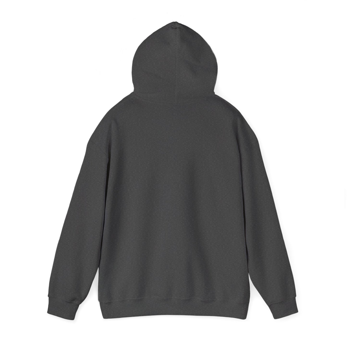 Discipline > Motivation Hoodie — Inspirational Athletic Sweatshirt