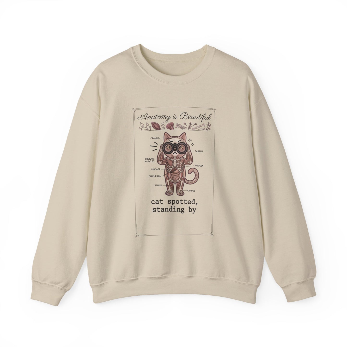 Anatomy Is Beautiful Cat Graphic Sweatshirt | Cat-Centric Novelty, Doodle Illustration