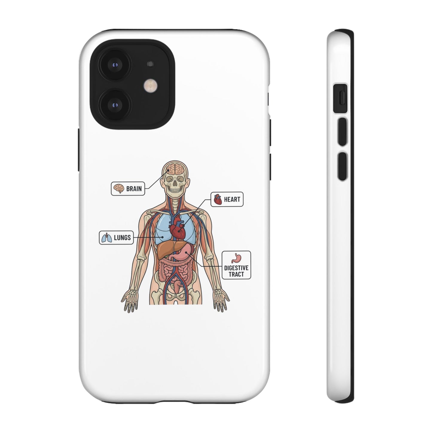 Anatomy Case — Medical Student Human Anatomy Study Aid