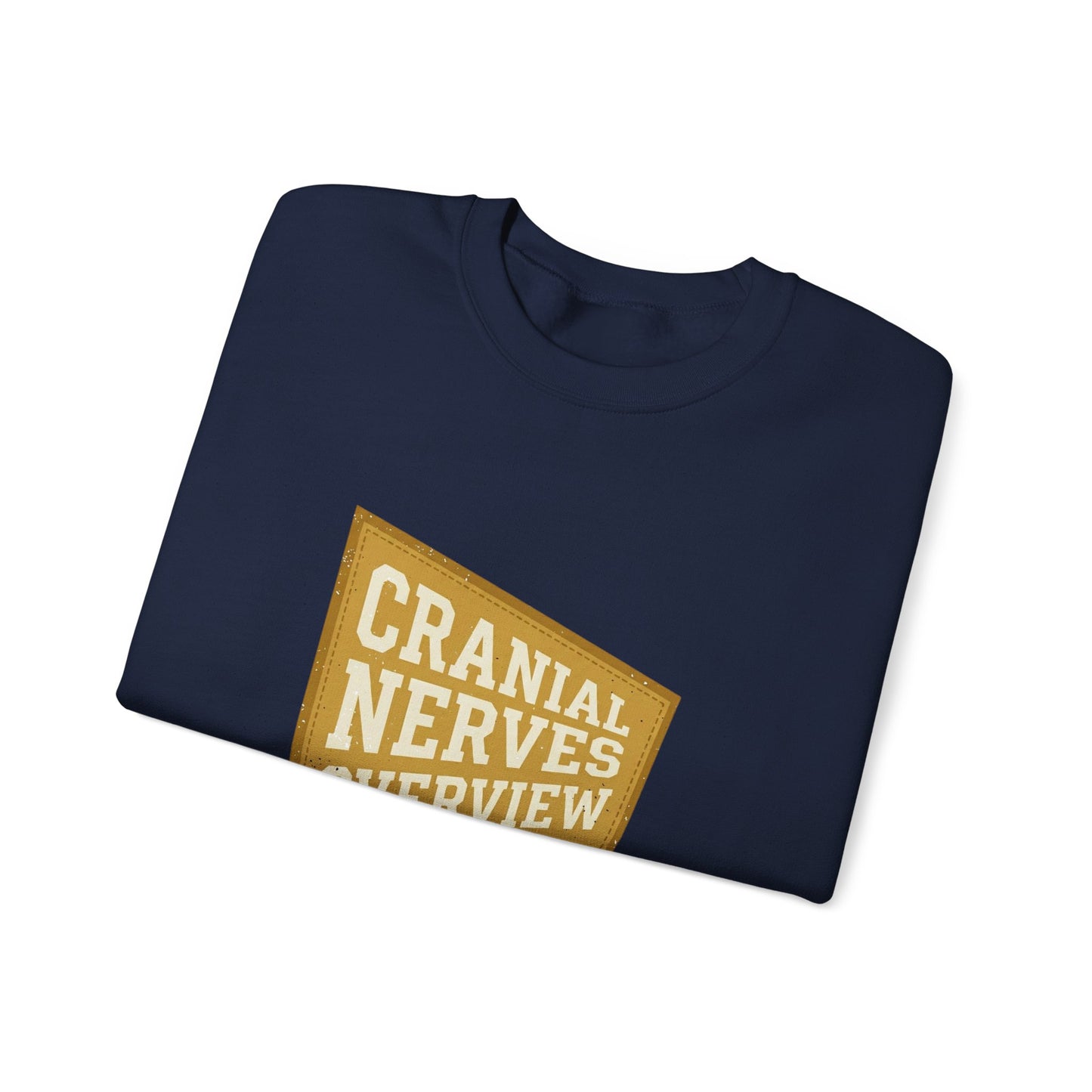 Cranial Nerves Overview Sweatshirt | Retro Anatomy, Easy Tiger Vibe