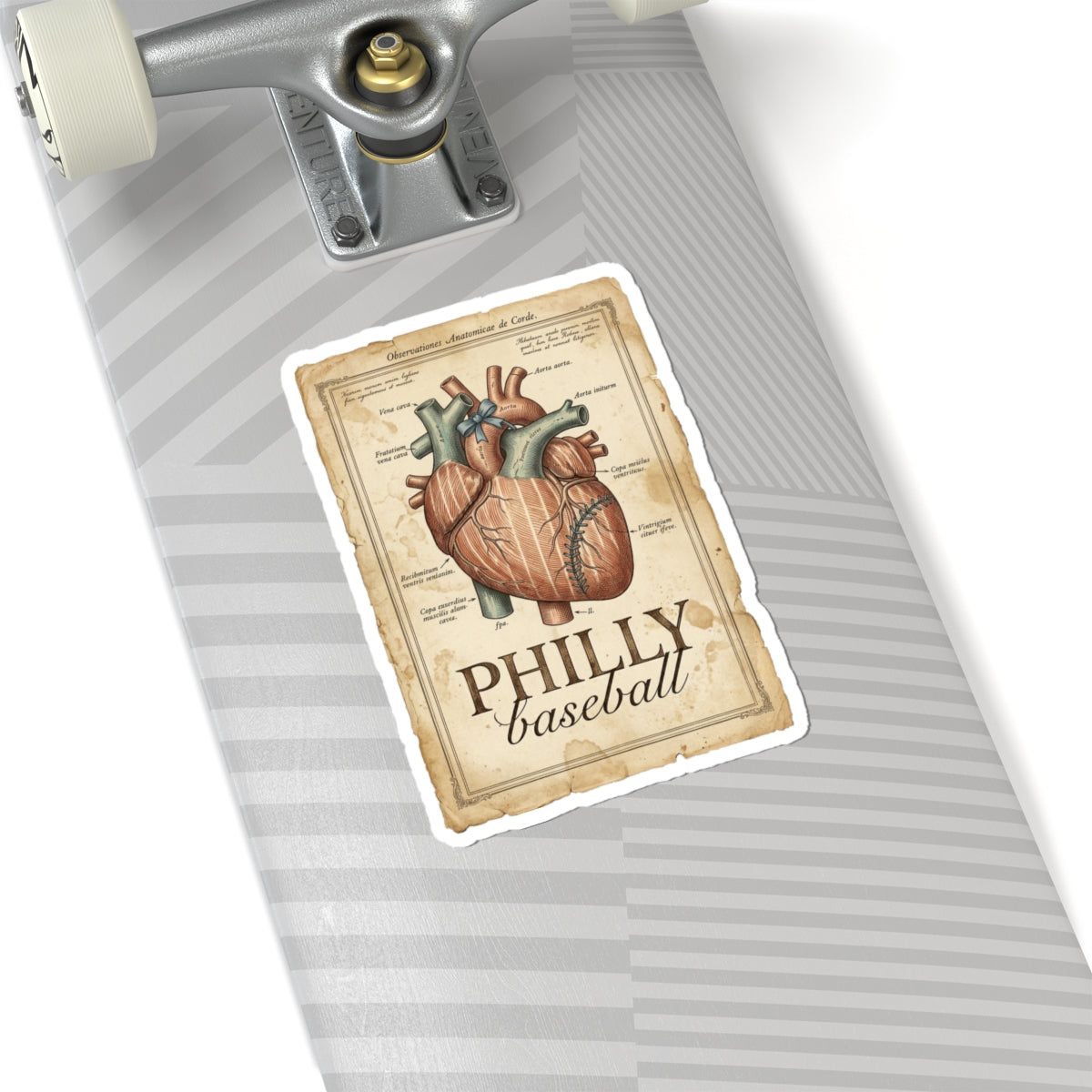 Philly Baseball Anatomical Heart Sticker | City Pride, Sports Fan Decal