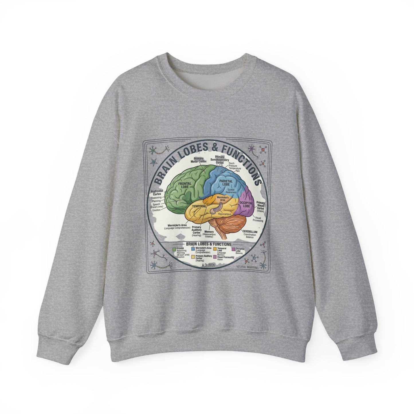 Brain Lobes Diagram Sweatshirt | 250th 4th of July Patriotic Milestone
