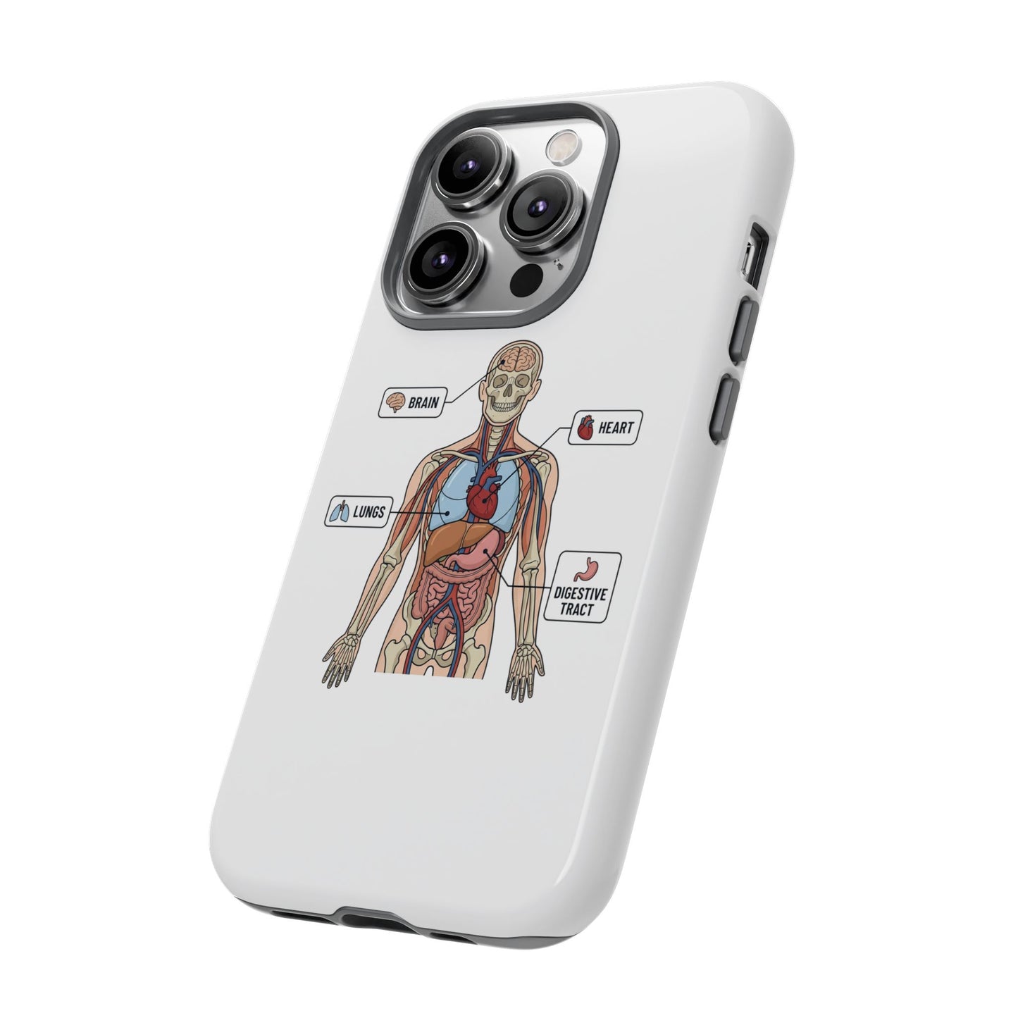 Anatomy Case — Medical Student Human Anatomy Study Aid