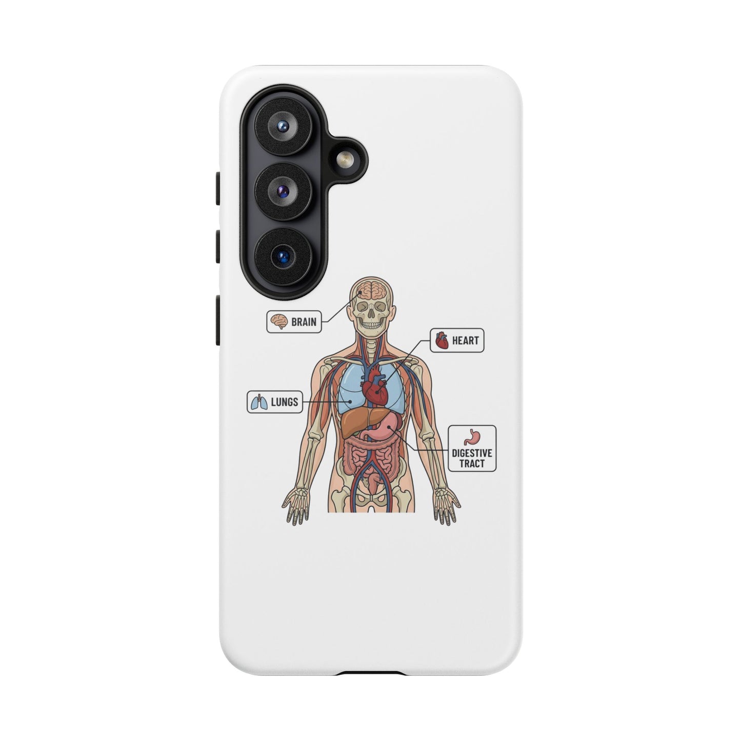 Anatomy Case — Medical Student Human Anatomy Study Aid