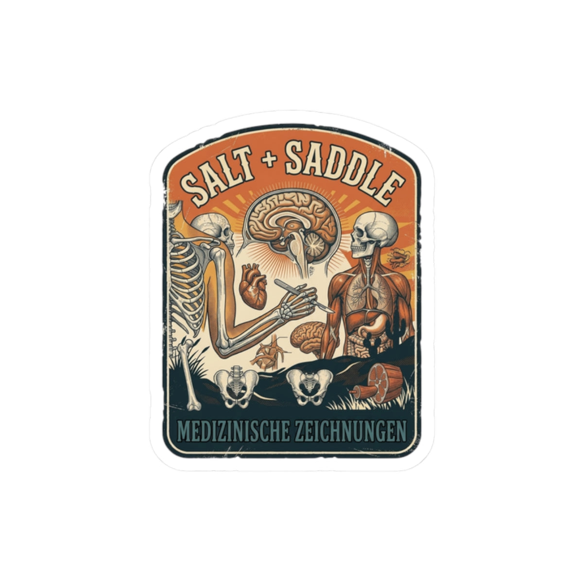 Salt & Saddle Anatomy Sticker | Country Aesthetic Western Cowgirl