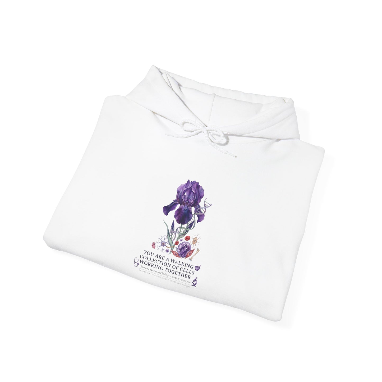 Iris Birth Flower Hoodie | Botanical Birth Month, Meaning & Floral Illustration