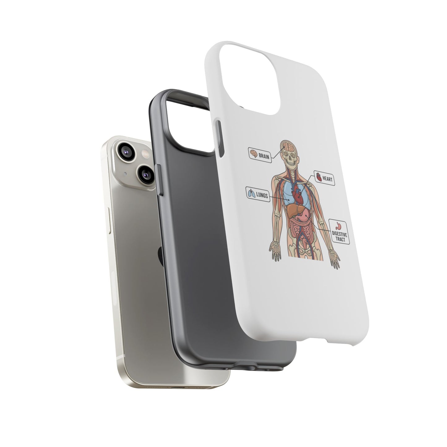 Anatomy Case — Medical Student Human Anatomy Study Aid