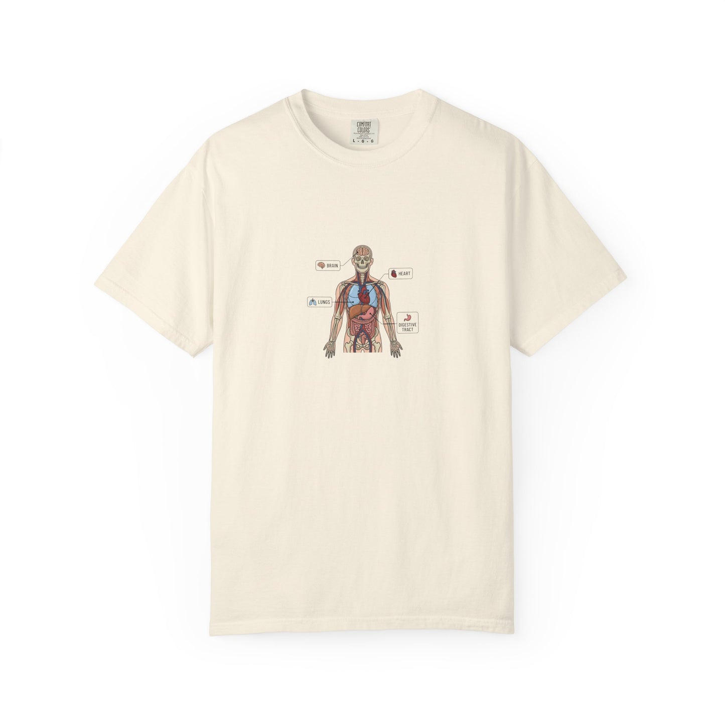 Human Anatomy Diagram T-Shirt — Medical Student Anatomy Tee