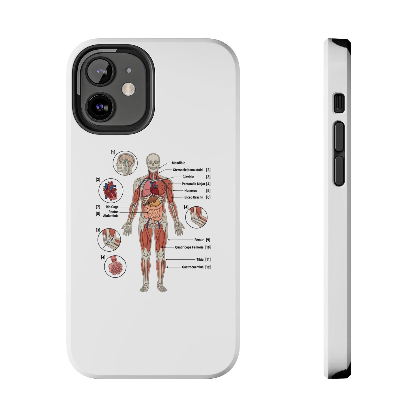 Anatomy Study Phone Case — Human Anatomy Diagram for Medical Students
