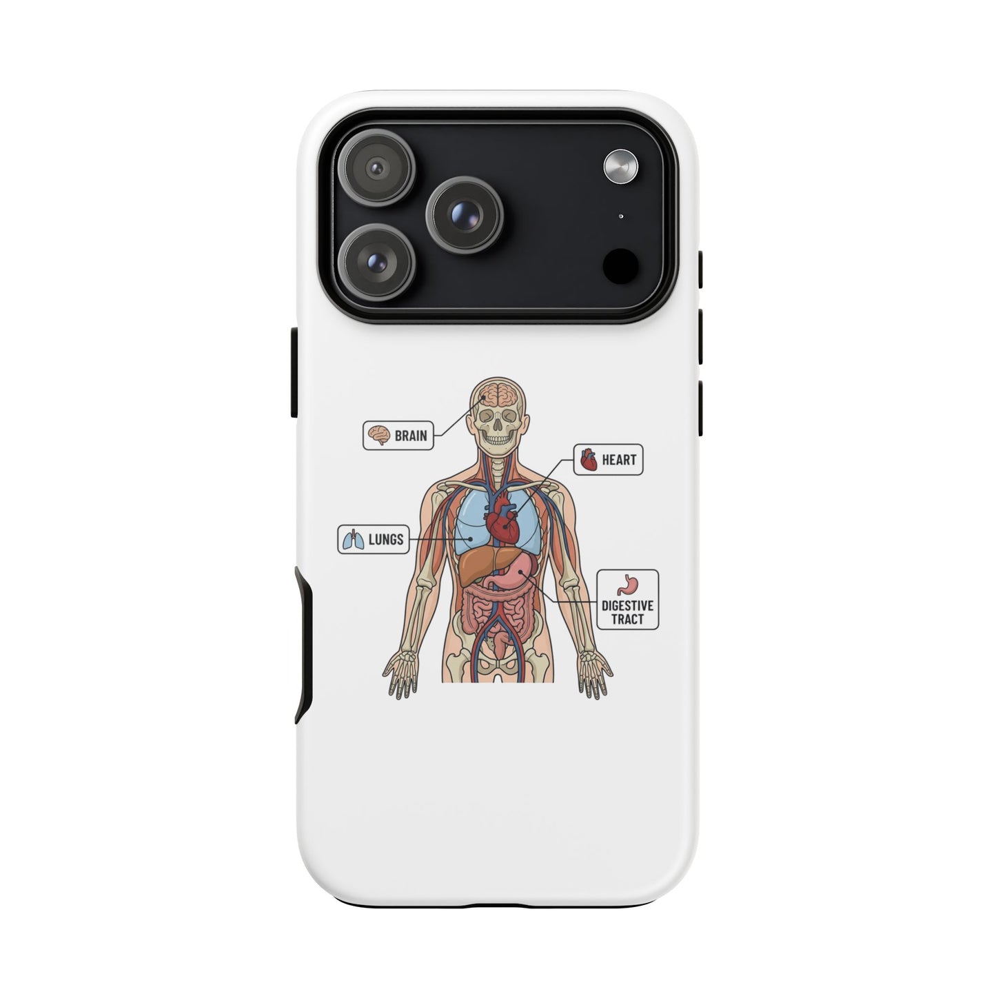 Anatomy Case — Medical Student Human Anatomy Study Aid