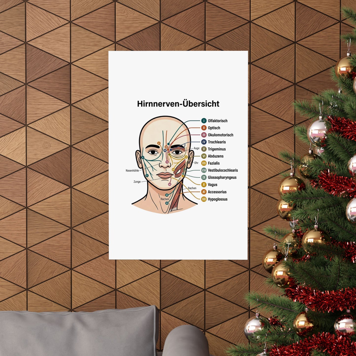 Anatomy Poster — Hirnnerven-Übersicht Matte Vertical Poster