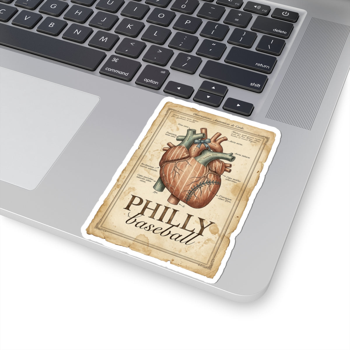 Philly Baseball Anatomical Heart Sticker | City Pride, Sports Fan Decal