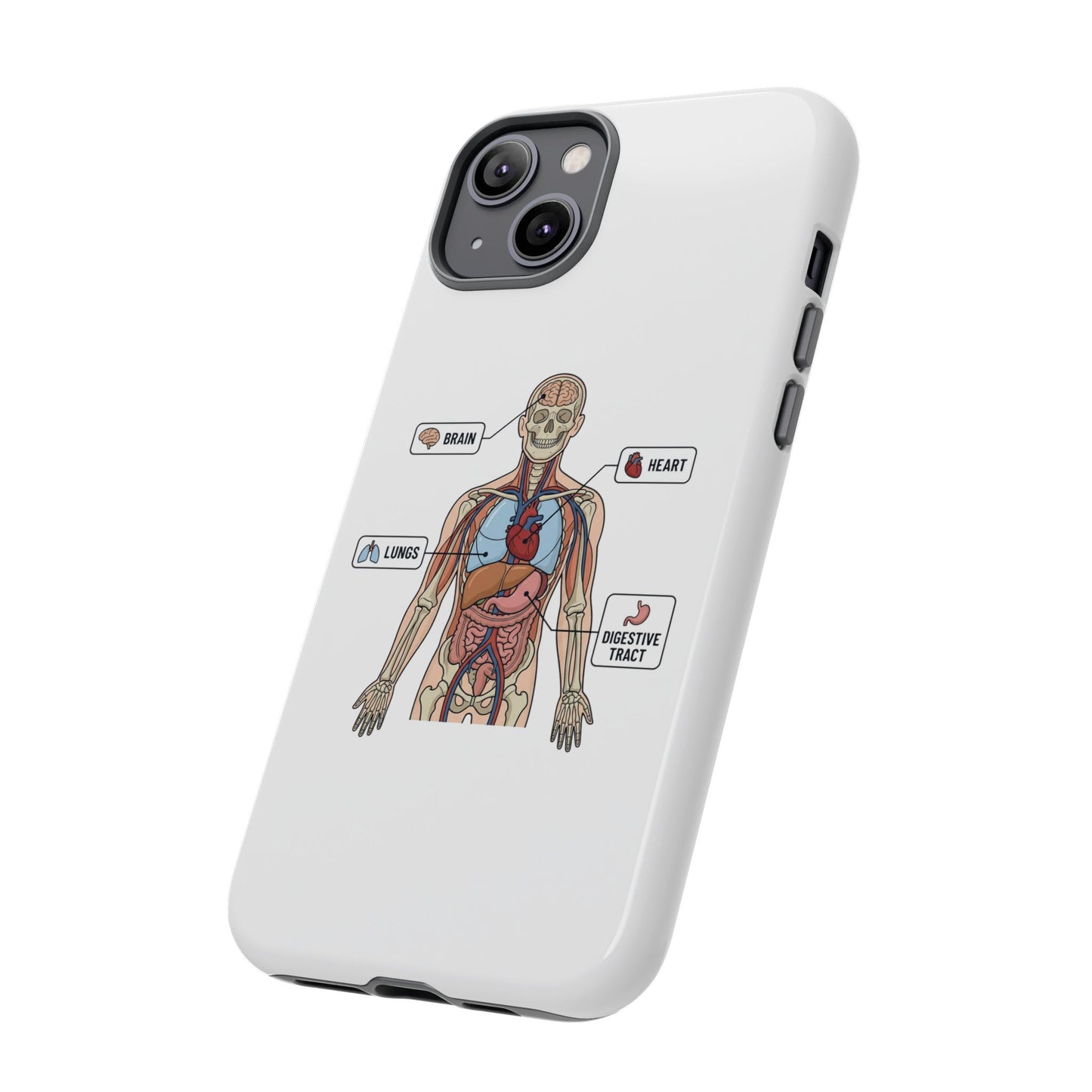 Anatomy Case — Medical Student Human Anatomy Study Aid