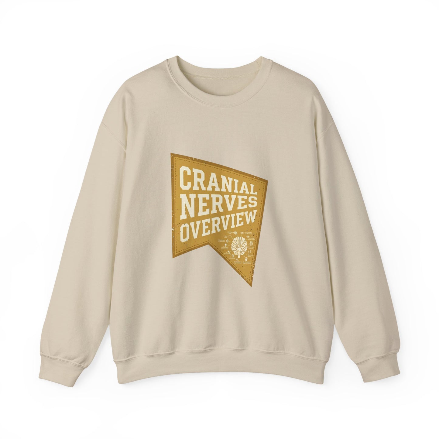 Cranial Nerves Overview Sweatshirt | Retro Anatomy, Easy Tiger Vibe
