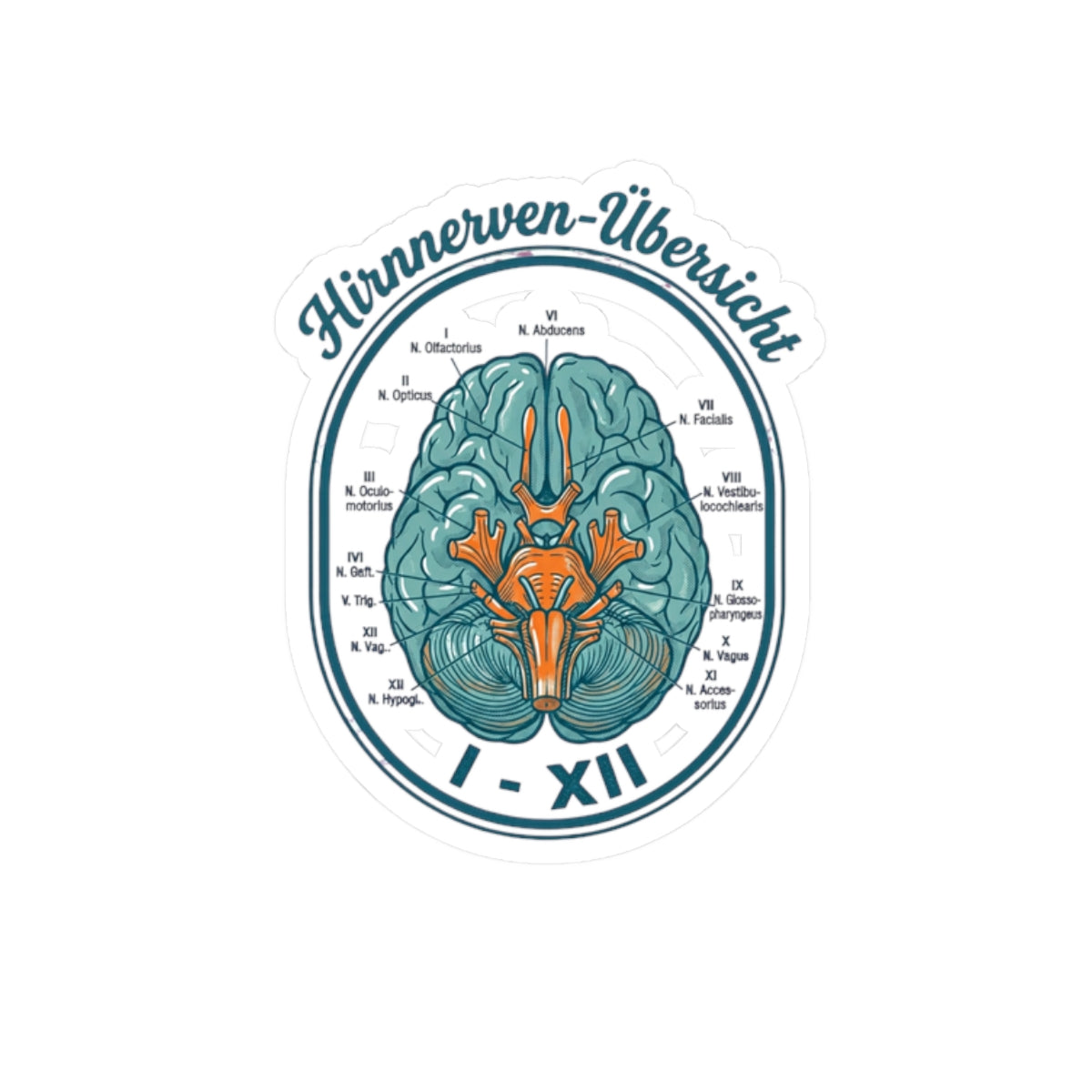 Anatomical Brain Illustration Kiss-Cut Stickers | Book Girl Summer, Literary Aesthetic