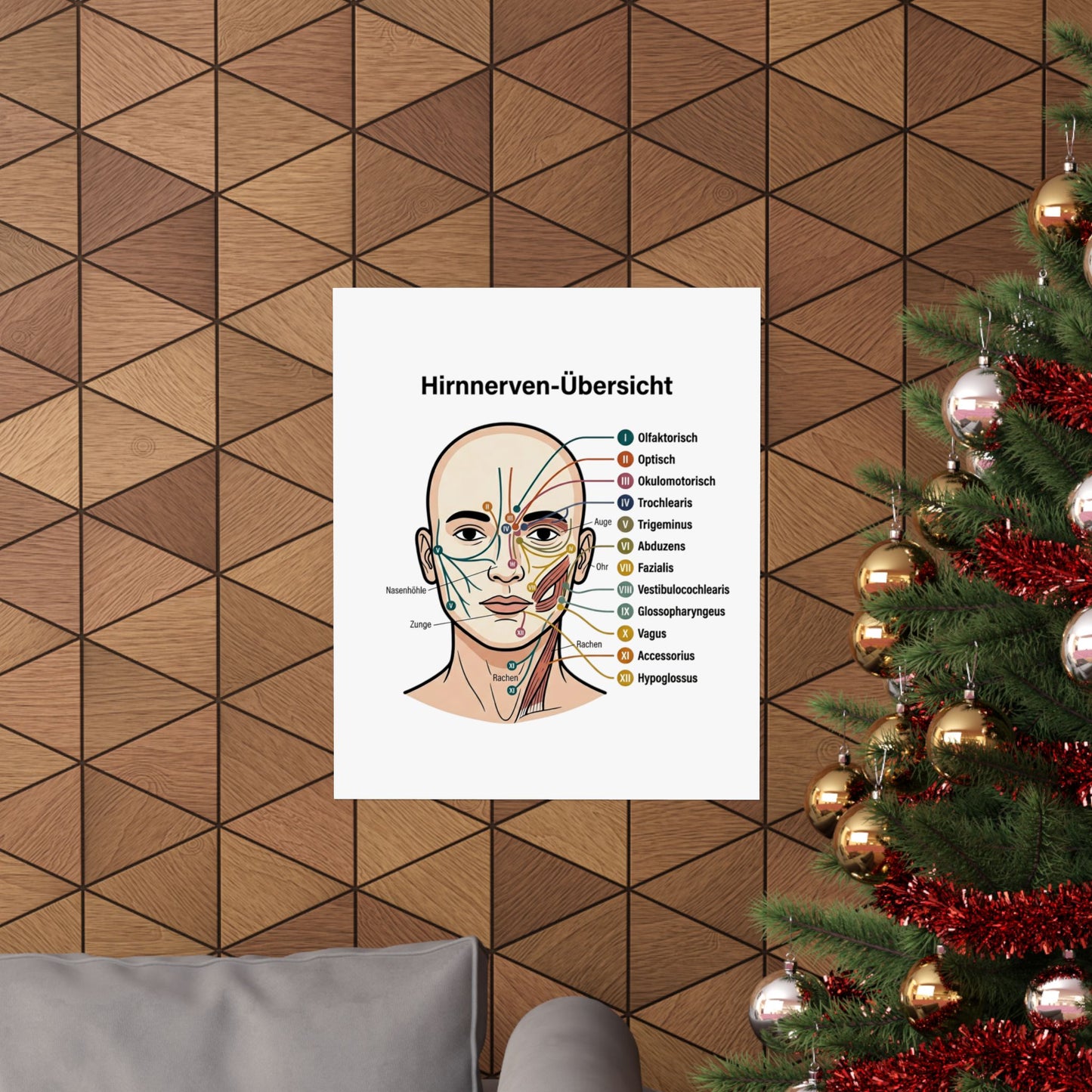 Anatomy Poster — Hirnnerven-Übersicht Matte Vertical Poster