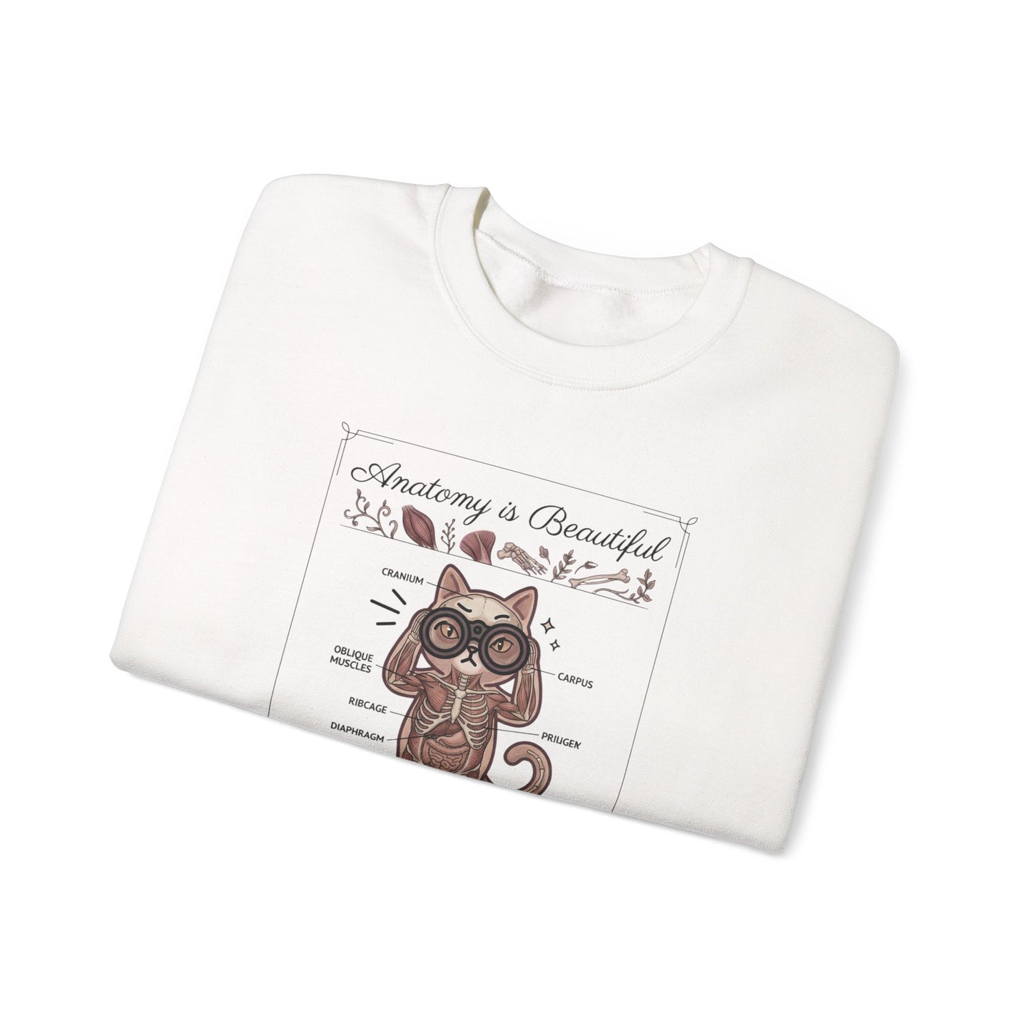 Anatomy Is Beautiful Cat Graphic Sweatshirt | Cat-Centric Novelty, Doodle Illustration