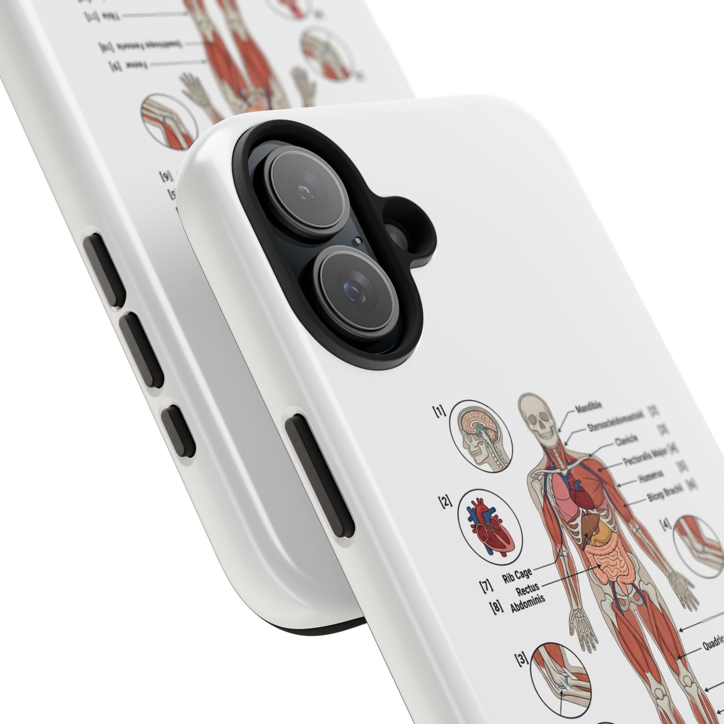 Anatomy Study Phone Case — Human Anatomy Diagram for Medical Students