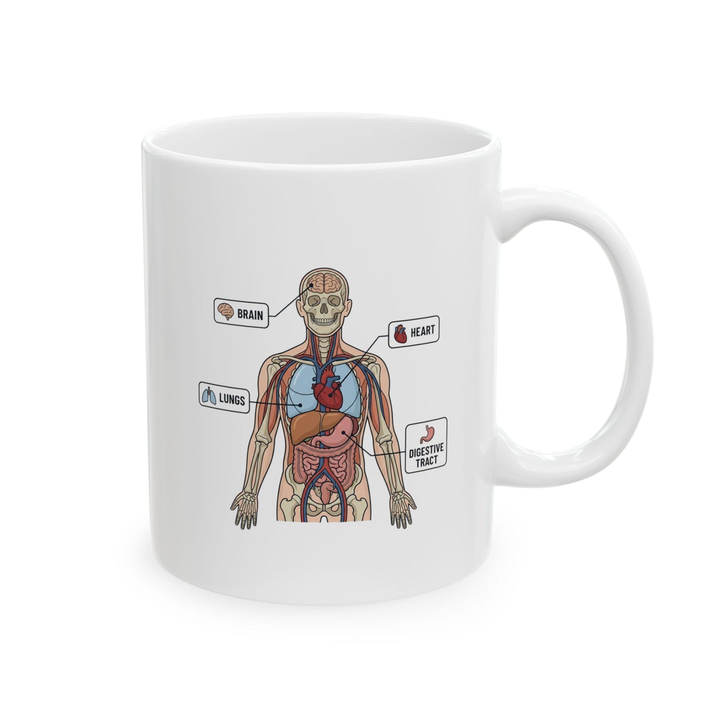 Anatomy Study Ceramic Mug — Human Anatomy for Medical Students (11oz, 15oz)