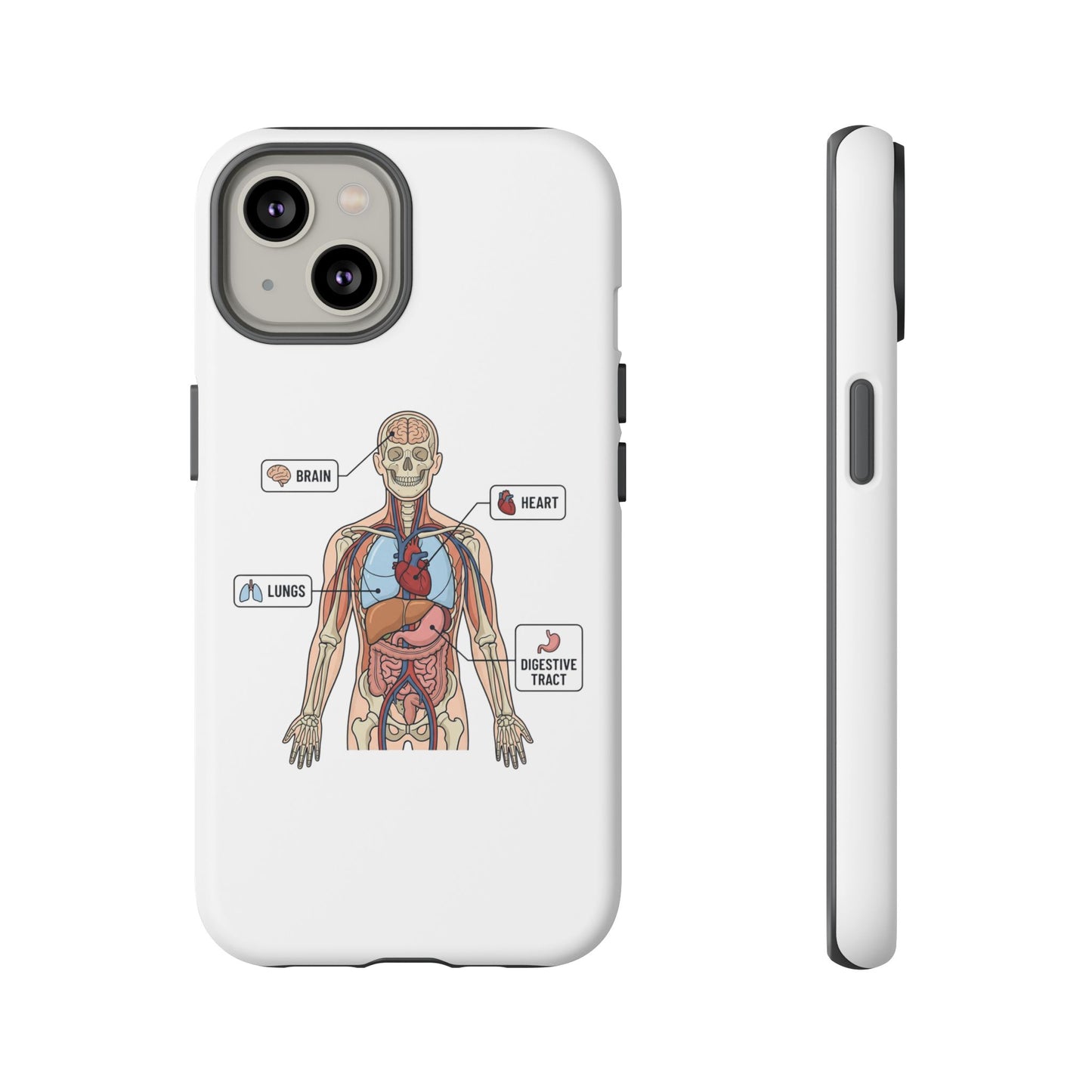 Anatomy Case — Medical Student Human Anatomy Study Aid